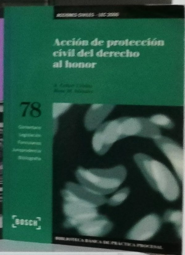 Acción de protección del derecho al honor