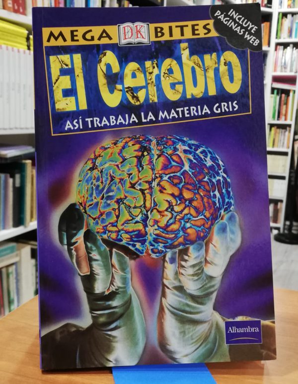El cerebro , así trabaja la materia gris