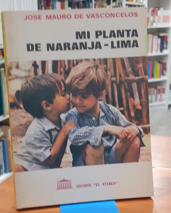 Mi planta de naranja-lima