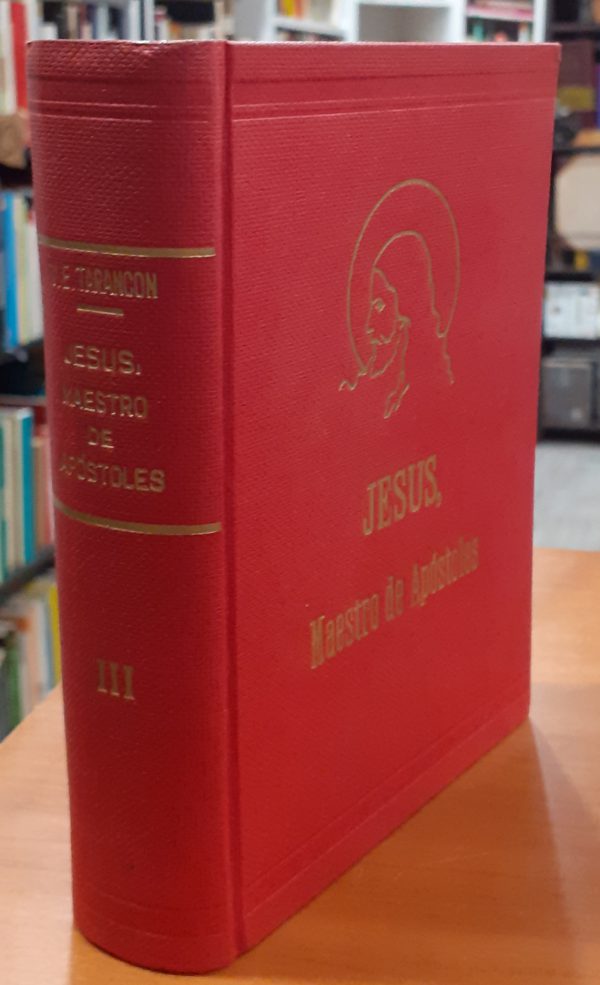 Jesús Maestro de Apóstoles III