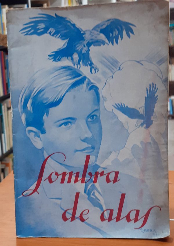 Sombra de alas ( Revista jóvenes )