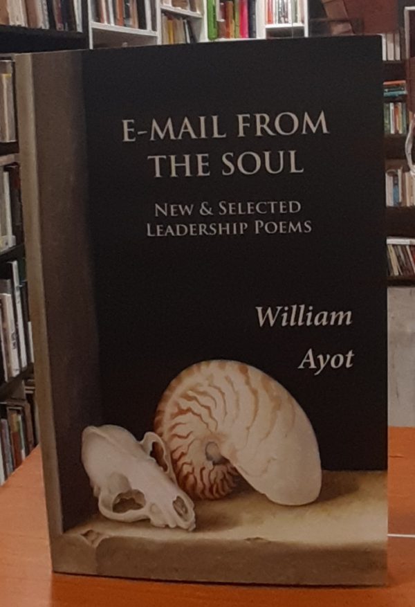 E- Mail from the soul –New & selected leadership poems  ( Libro en Inglés )