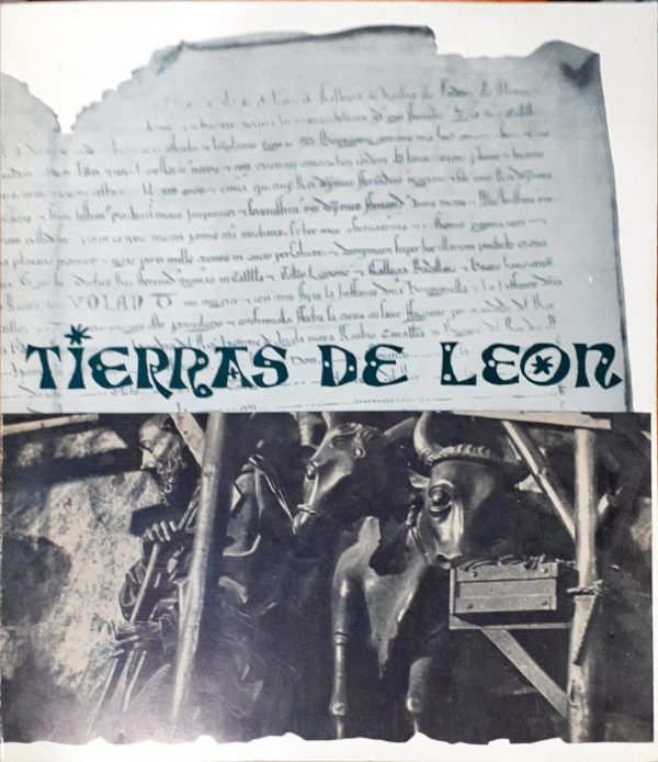 Tierras de León XV