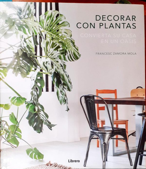 Decorar con plantas – Convierta su casa en un oasis