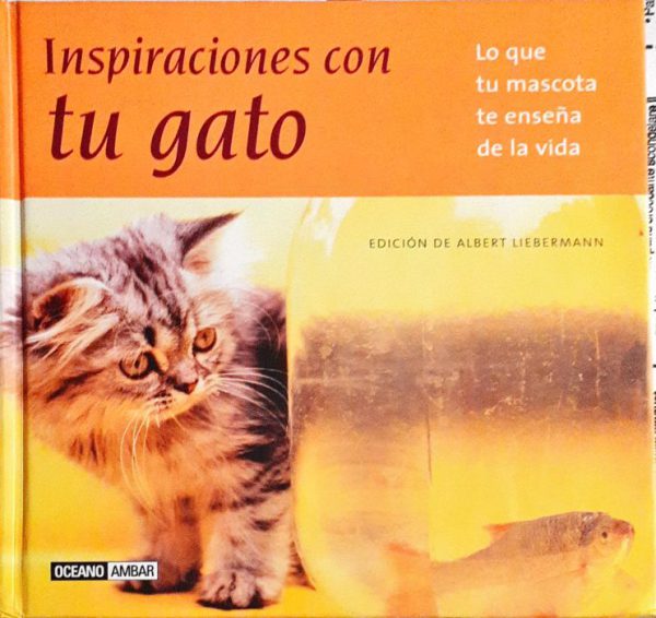 Inspiraciones con tu gato – Lo que tu mascota te enseña de la vida
