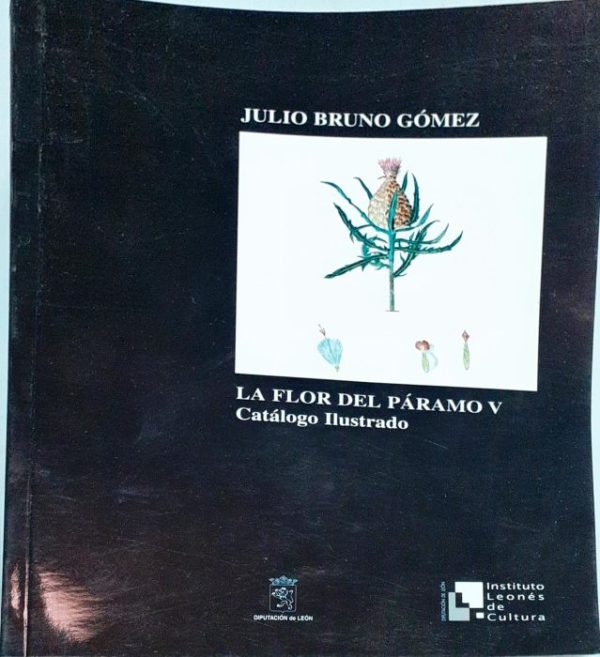 La flor del Páramo V – Catálogo ilustrado