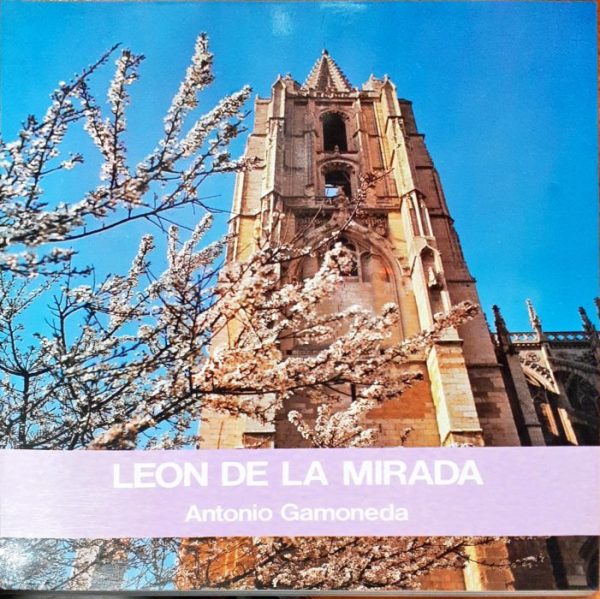 León de la mirada