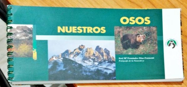 Nuestros osos
