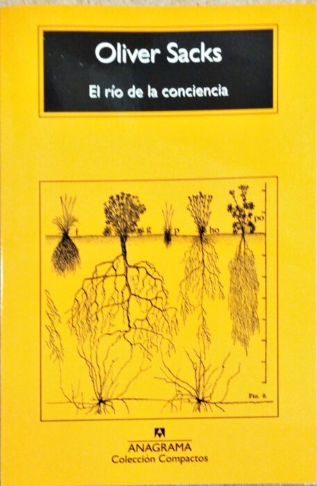 El río de la conciencia